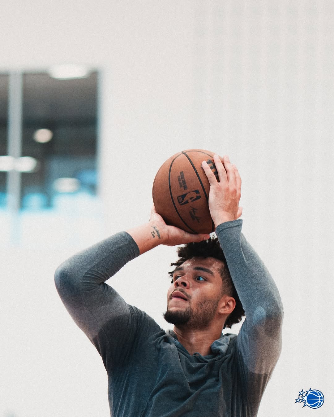 东部新贵, 魔术官方分, entit