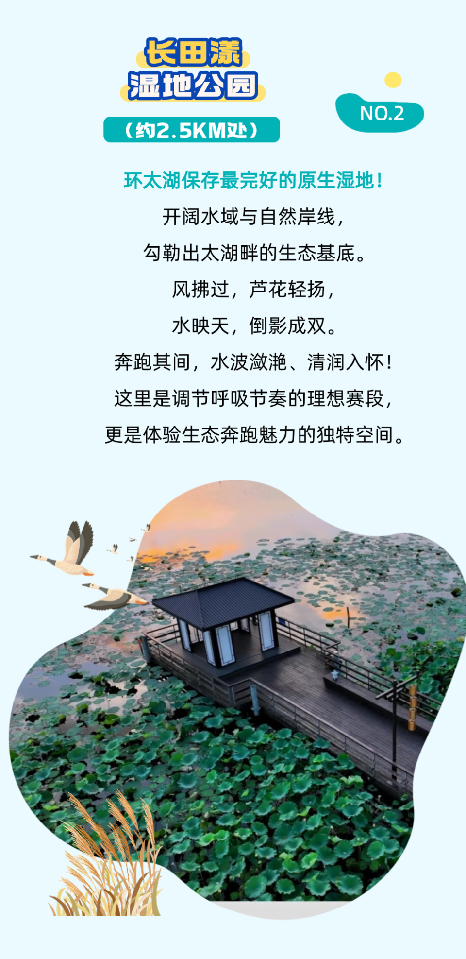 https, SrZ https, SrZ